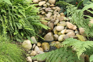 开云体育官网登录入口-吉林森林采摘胜利果实，实现连胜